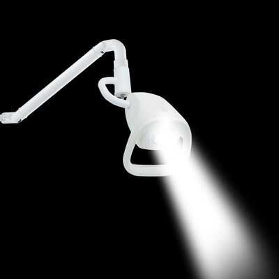 Hospital Medical Clinic Dental Exam Lamp Wall Mounted Type LED Examination Lamp
