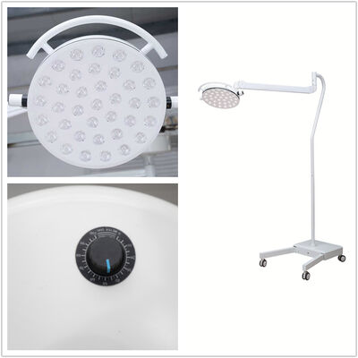 Stand Mobile  Endo ENT Dental GNY Veterinary Surgery LED Operating Lamp Exam Lamp