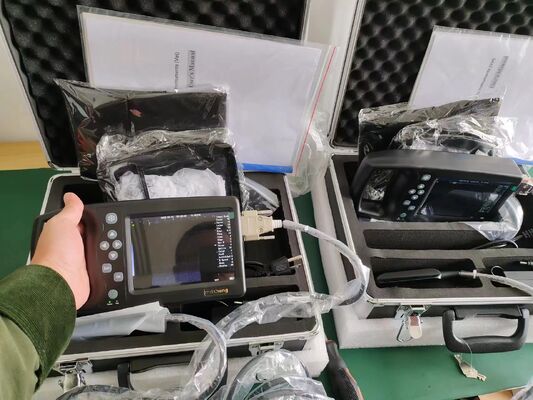 Handheld veterinary ultrasound scanner