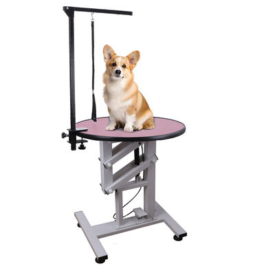 Vet Pet Grooming Table Pet Animal Beauty Grooming Station